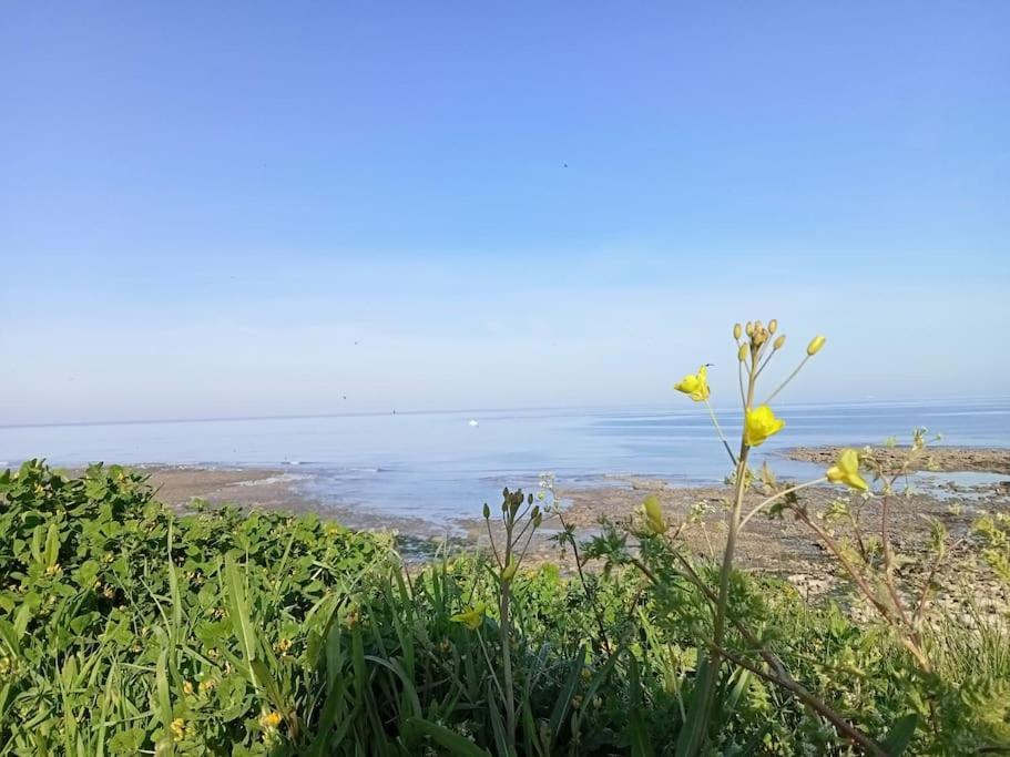 Soleil D'Opale Et Son Grand Jardin Villa Wimereux Dış mekan fotoğraf